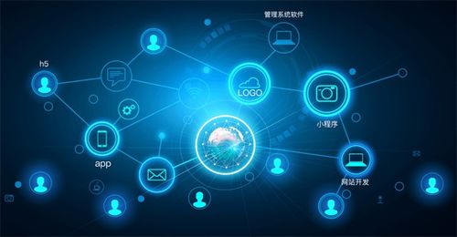 破茧成蝶 逃离大厂的程序员创业者如何重塑网络科技生态